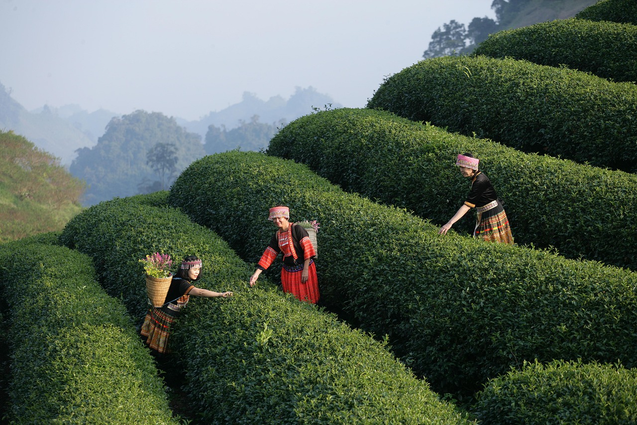 Customer Journey Mapping